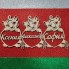 Новогодняя игрушка Тигренок с именем, 6 см